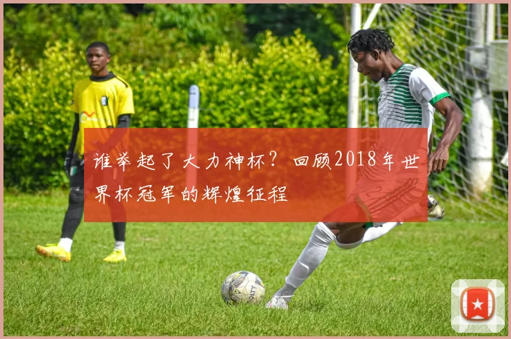 谁举起了大力神杯？回顾2018年世界杯冠军的辉煌征程