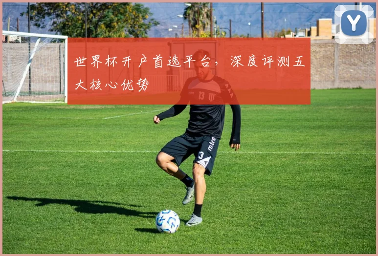 世界杯开户首选平台，深度评测五大核心优势