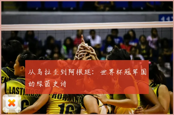 从乌拉圭到阿根廷：世界杯冠军国的绿茵史诗