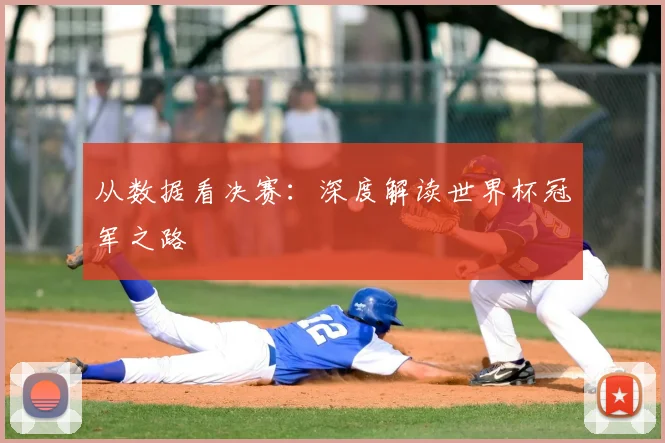 从数据看决赛:深度解读世界杯冠军之路