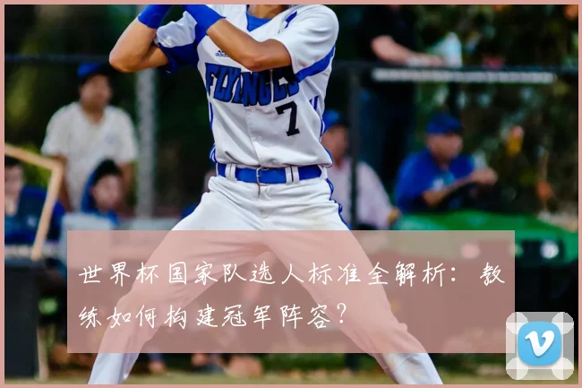 世界杯国家队选人标准全解析：教练如何构建冠军阵容？