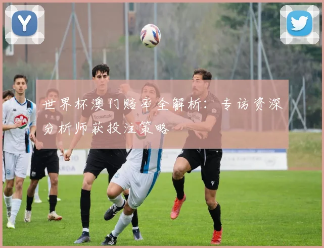 世界杯澳门赔率全解析:专访资深分析师获投注策略