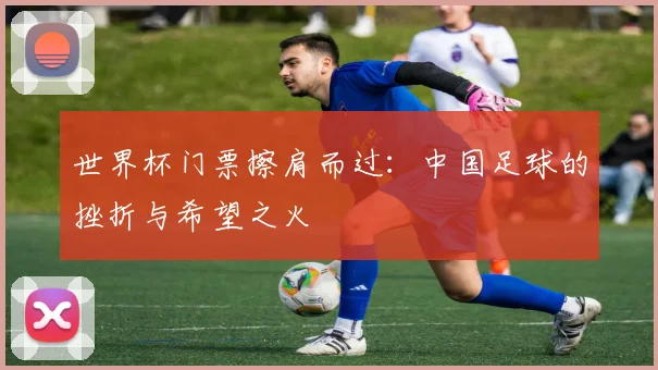 世界杯门票擦肩而过:中国足球的挫折与希望之火