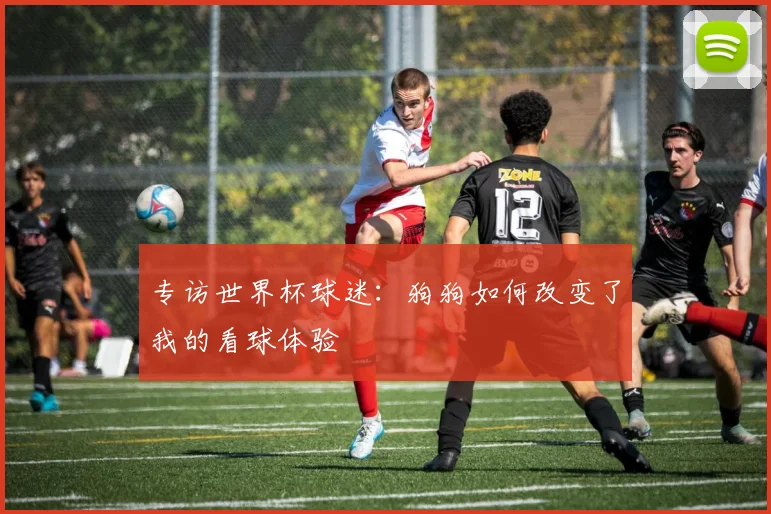 专访世界杯球迷:狗狗如何改变了我的看球体验